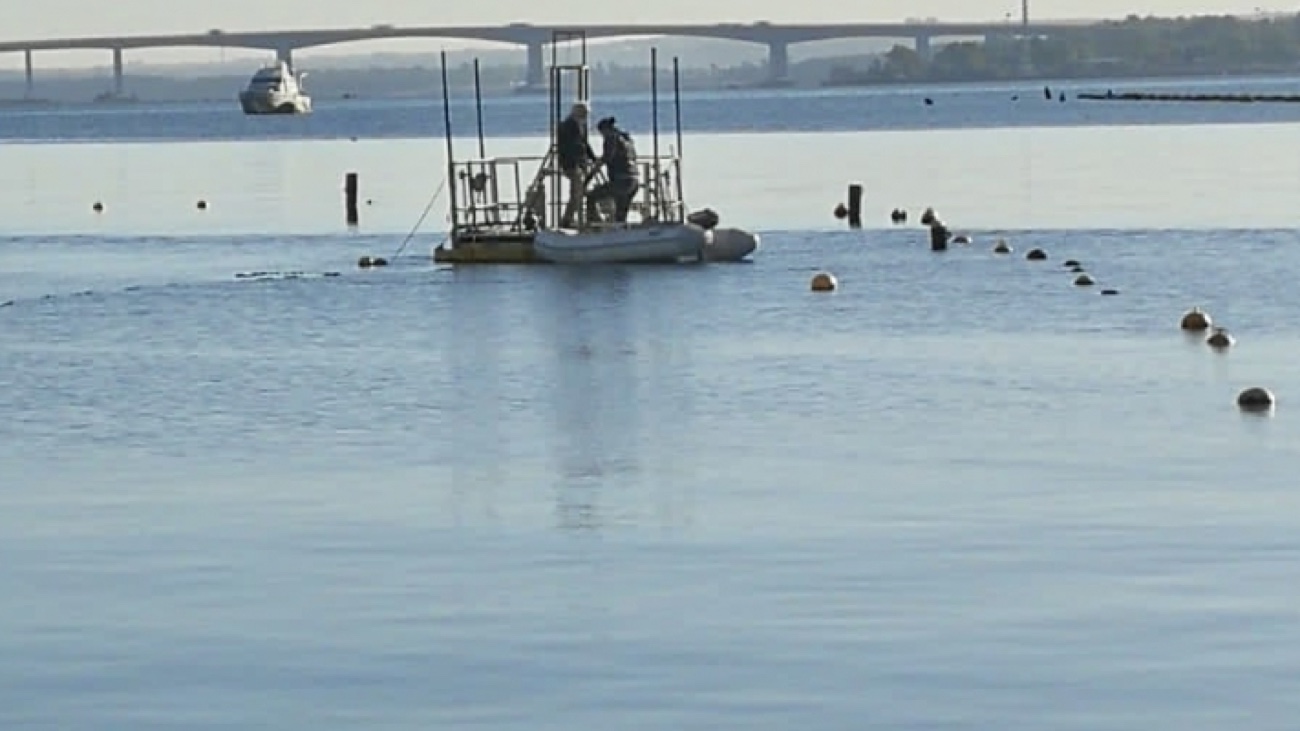 Lezioni di Resilienza da Mar Piccolo